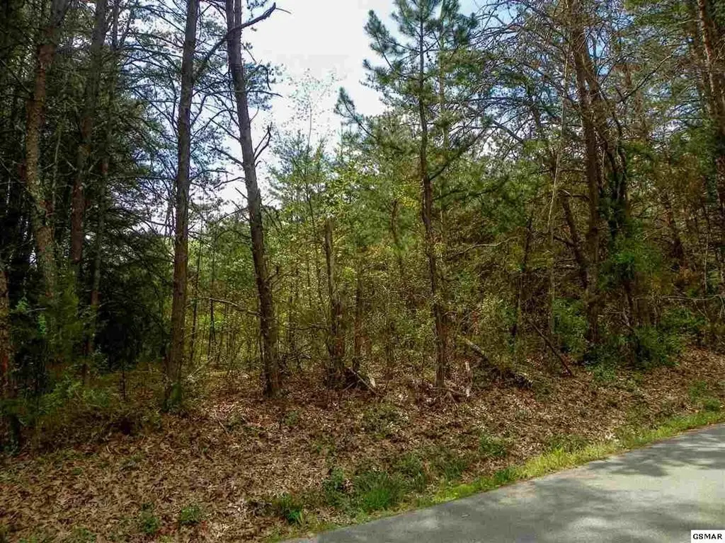 9 Rail Hill Lane, Sevierville, TN 37876 - #1