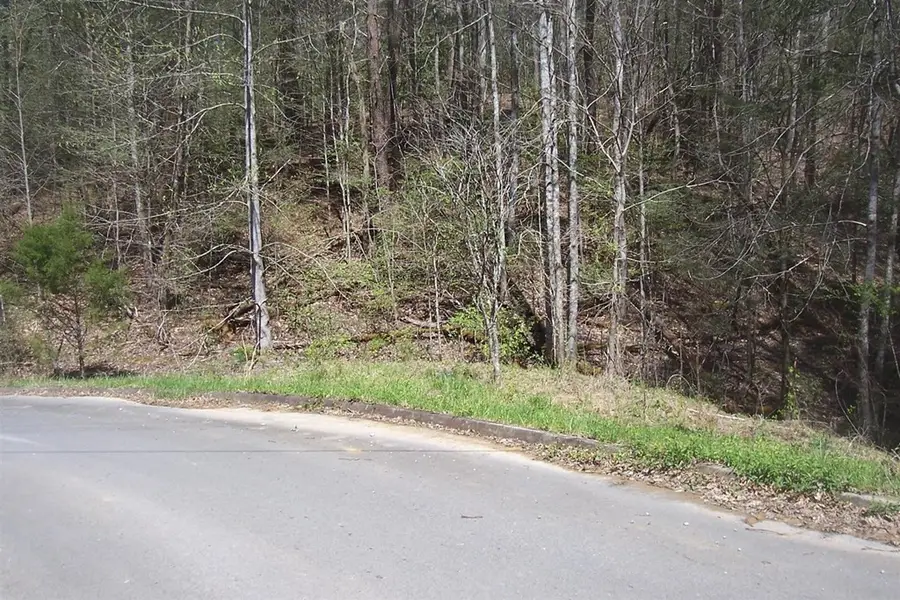 9 Rail Hill Lane, Sevierville, TN 37876 - #3