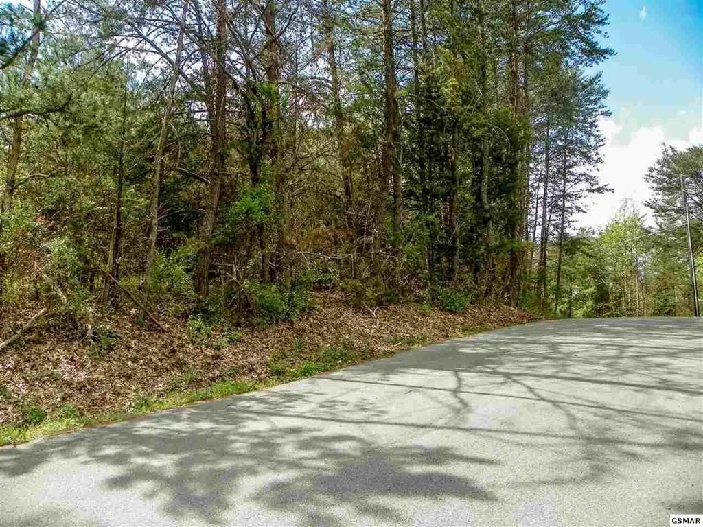 8 Rail Hill Lane, Sevierville, TN 37876 - #1