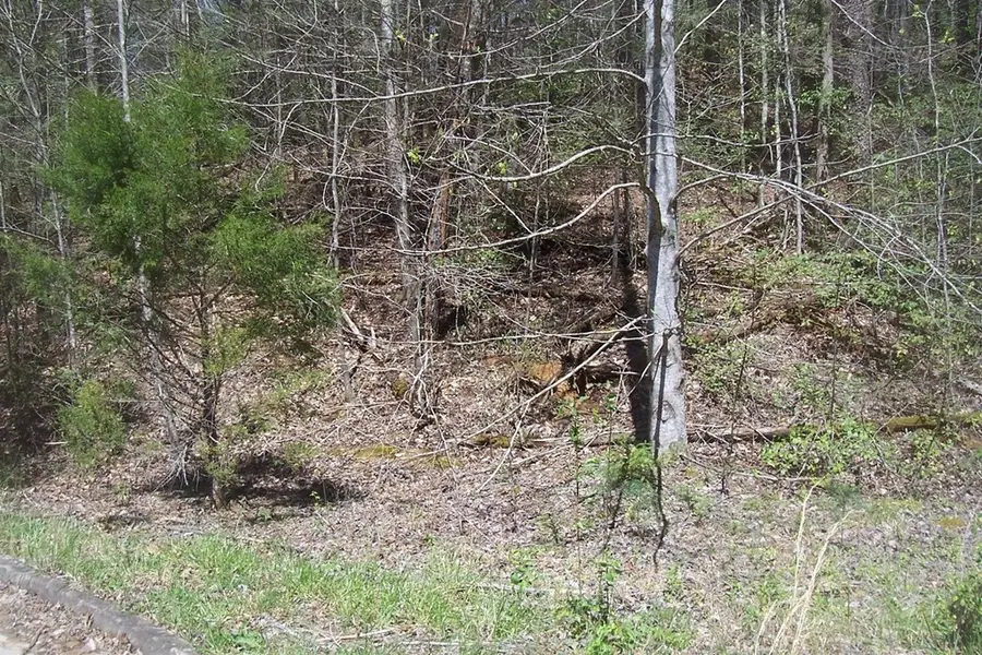 8 Rail Hill Lane, Sevierville, TN 37876 - #3