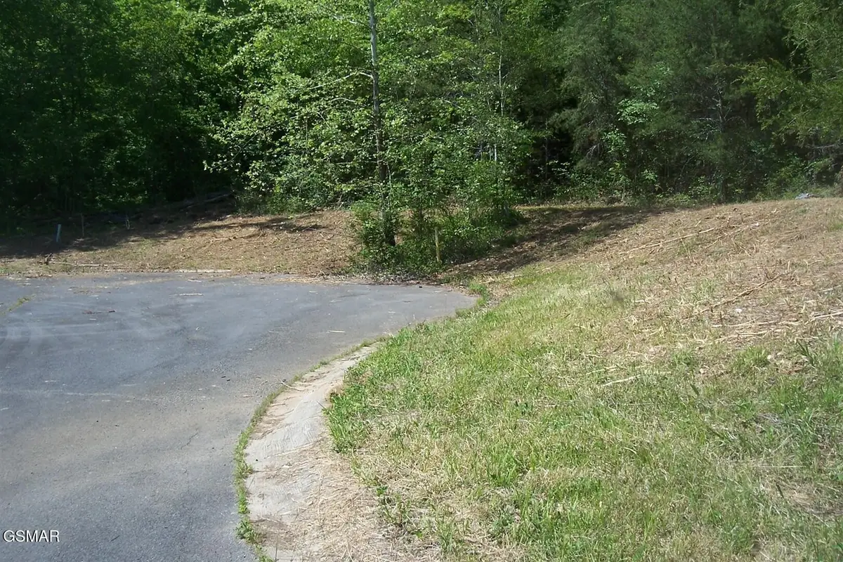 25 Splendor Way, Parrottsville, TN 37843 - #1