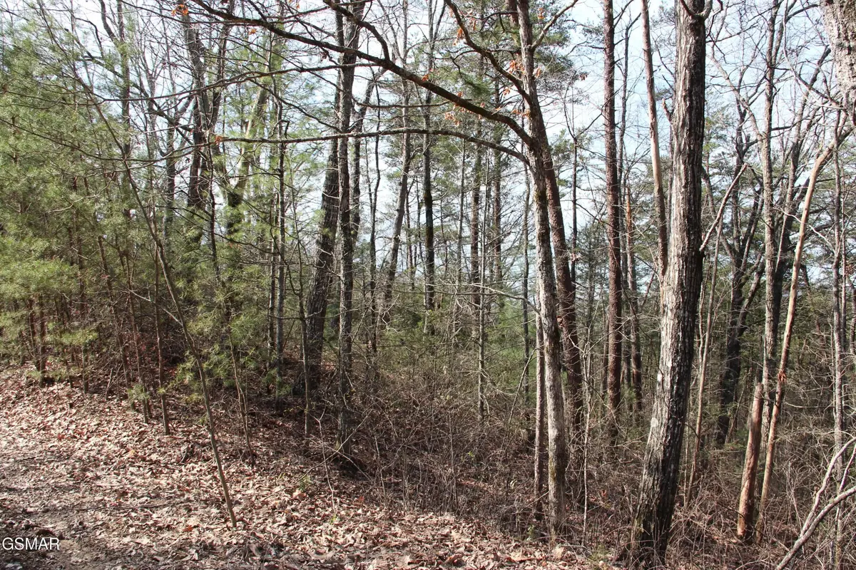 19 Ridge View Drive, Sevierville, TN 37876 - #1