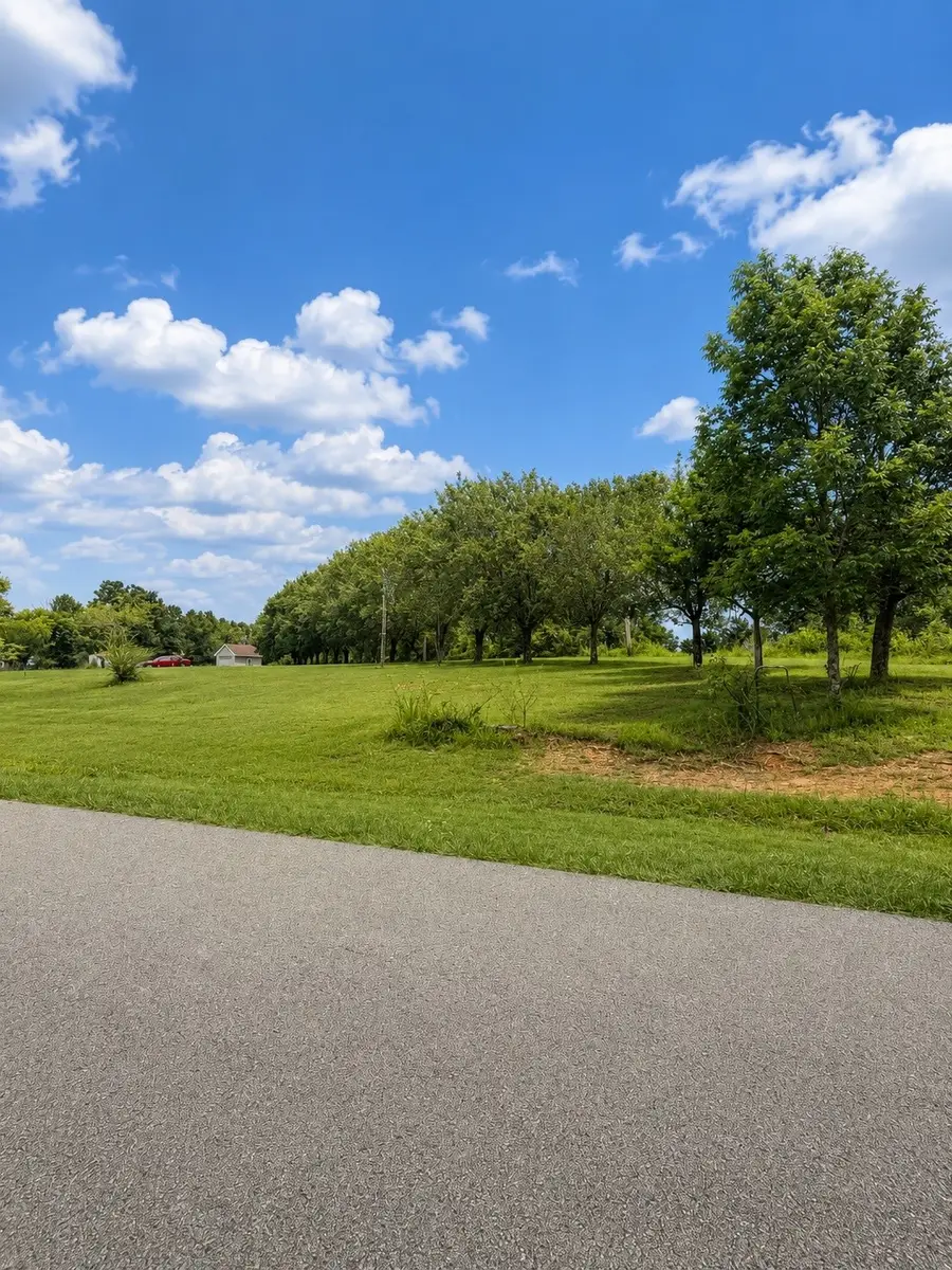 118 Steeplechase Dr, Smithville, TN 37166 - #2