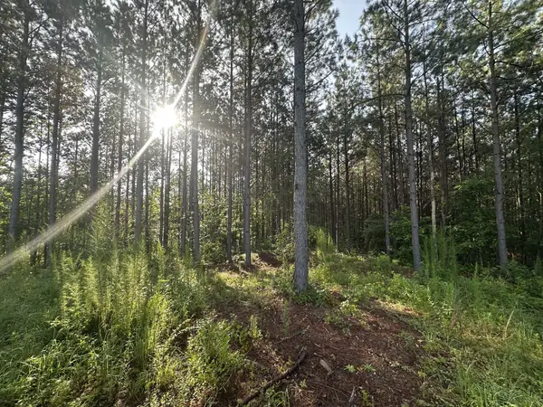 153 Beach Rd, Hohenwald, TN 38462