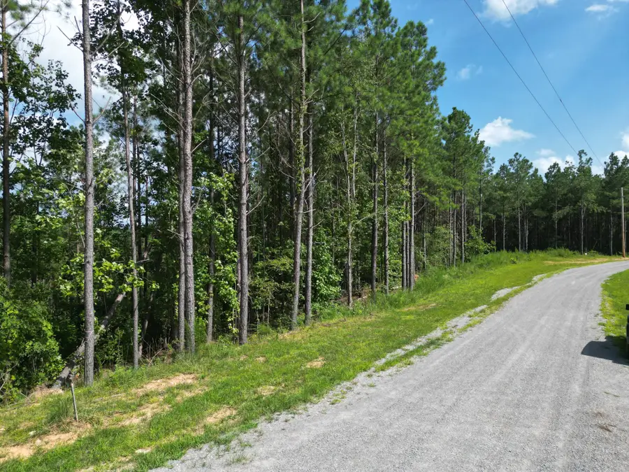 153 Beach Rd, Hohenwald, TN 38462 - #2