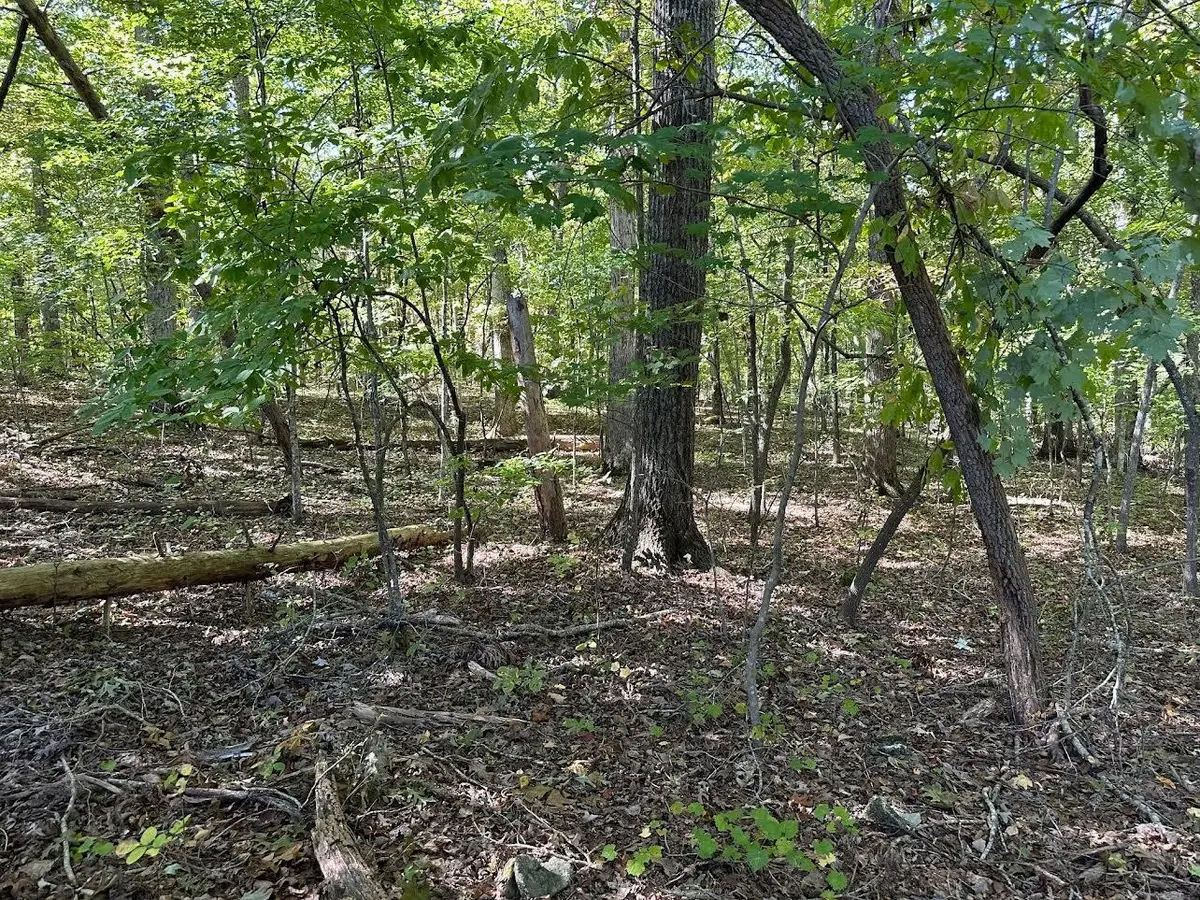 411412 Smith Road, Spring City, TN 37381 - #1