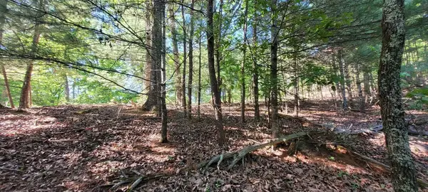 123 Dogwood Court, Spring City, TN 37381