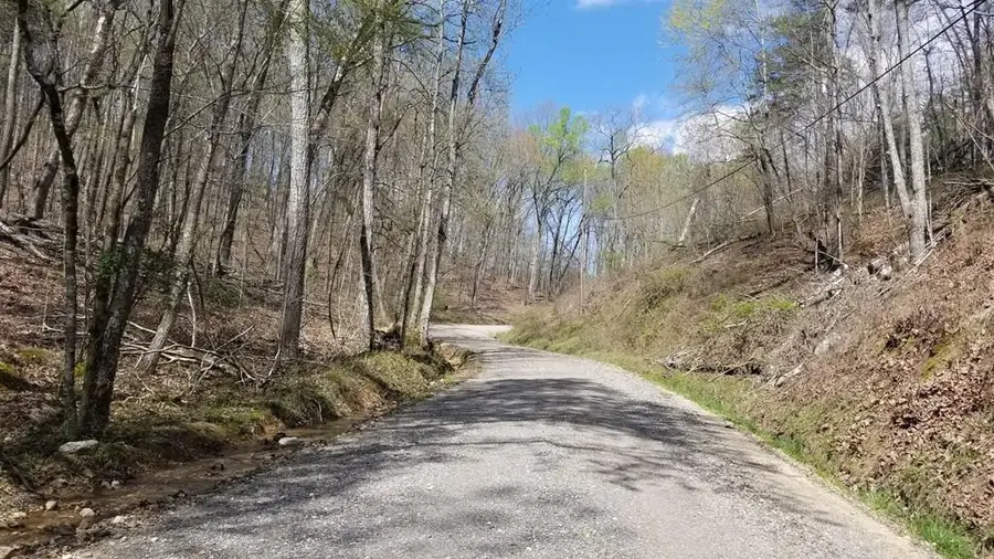 286 Maple Drive, Spring City, TN 37381 - #2