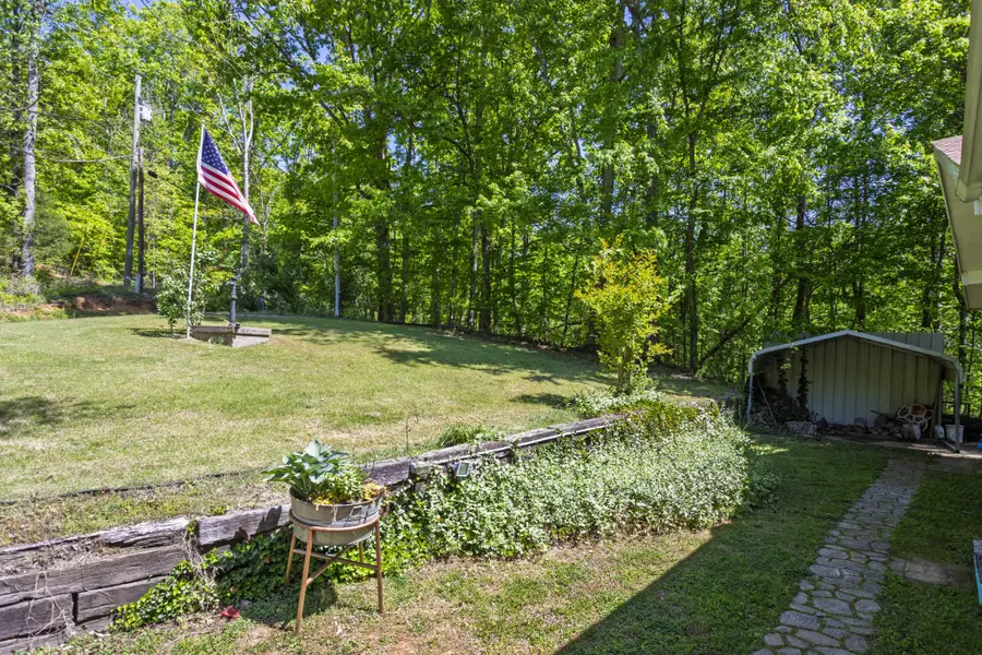 217 Roberts Road, Spring City, TN 37381 - #3