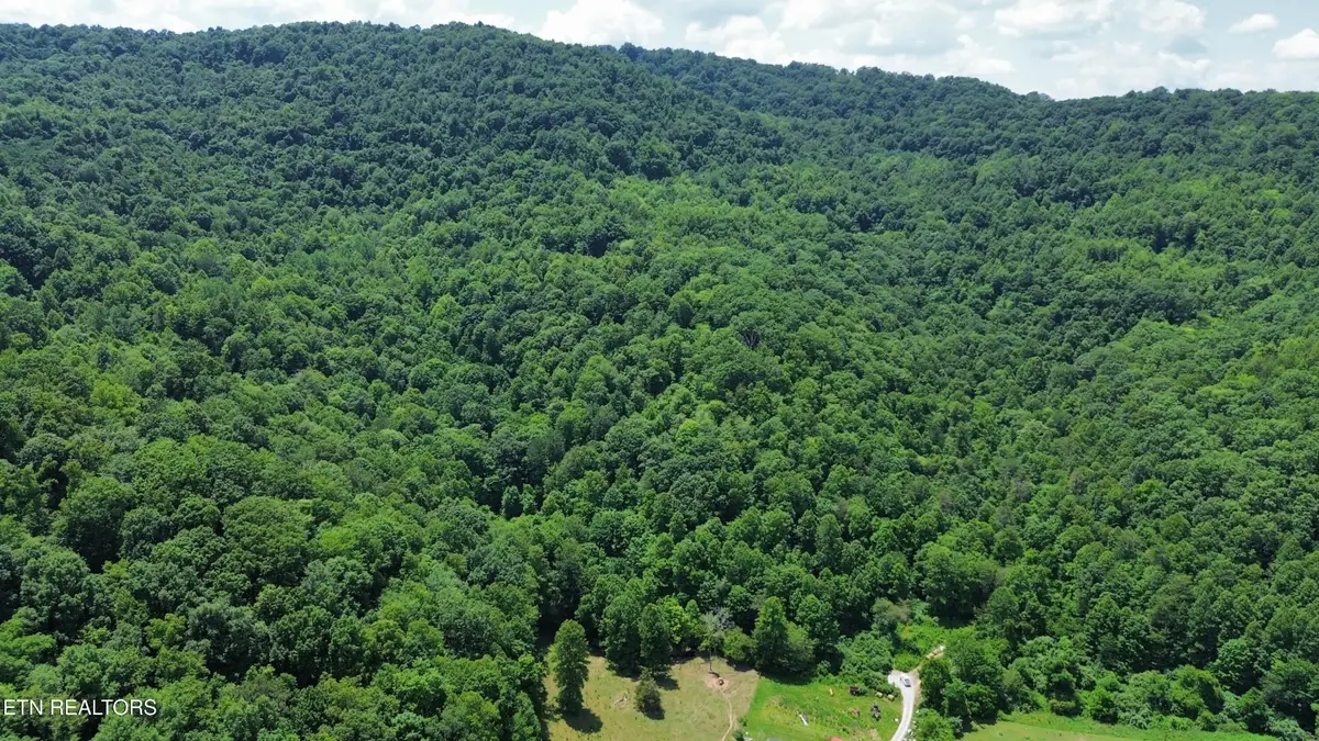 0 Lick Creek Lane, La Follette, TN 37766 - #1