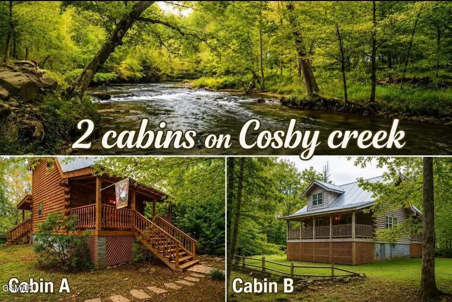 222 Limestone Way, Cosby, TN 37722 - #2