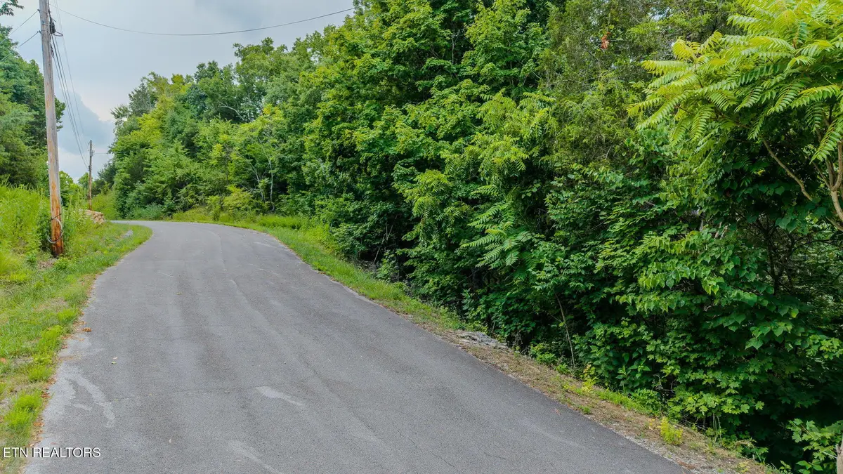 35 Fishtail Cove, Dandridge, TN 37725 - #1