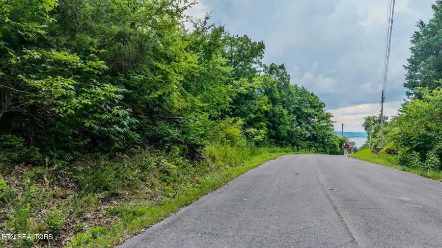 35 Fishtail Cove, Dandridge, TN 37725 - #2