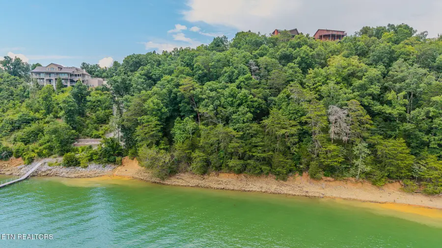 35 Fishtail Cove, Dandridge, TN 37725 - #3
