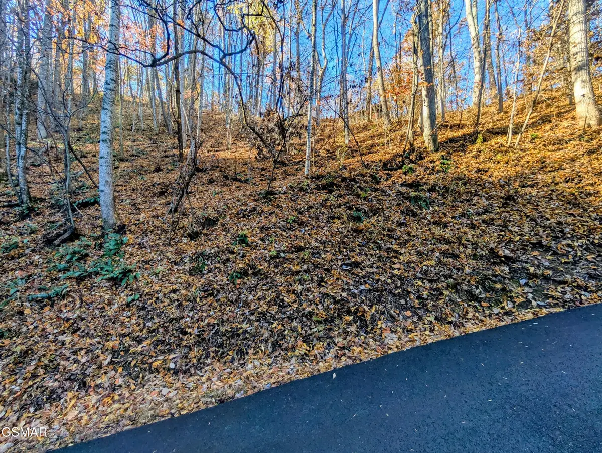 339 Ridgefield Drive, Sevierville, TN 37876 - #1