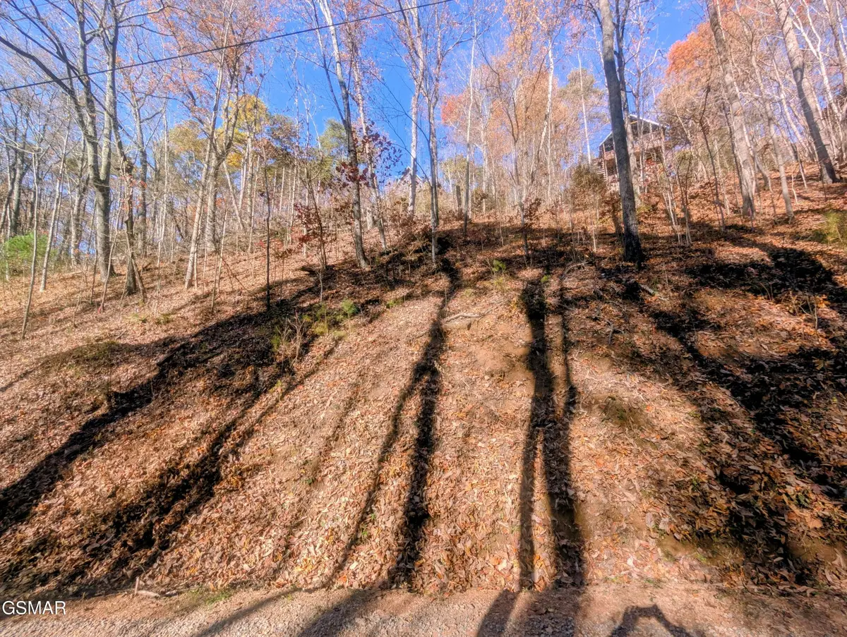 177 Tsali Drive, Sevierville, TN 37876 - #1