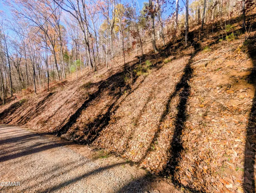 177 Tsali Drive, Sevierville, TN 37876 - #2
