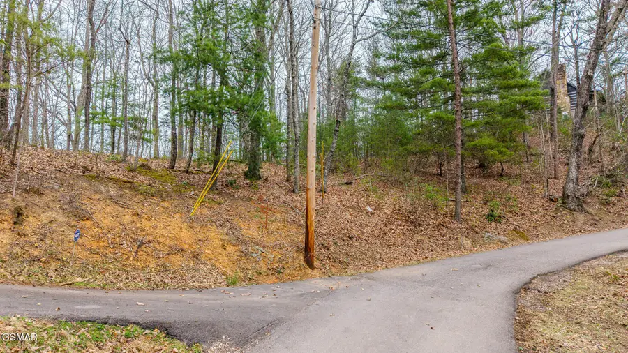 15 S Boogertown South Road, Sevierville, TN 37876 - #2