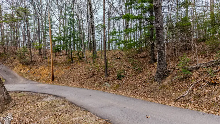 15 S Boogertown South Road, Sevierville, TN 37876 - #3