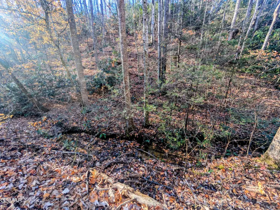 1908 Rose Pass, Sevierville, TN 37876 - #2