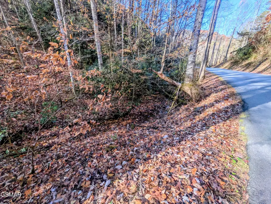1908 Rose Pass, Sevierville, TN 37876 - #3