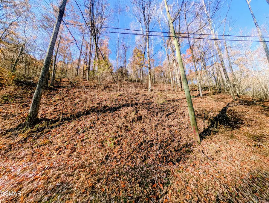 1272 Raymond Hollow Road, Sevierville, TN 37876 - #2