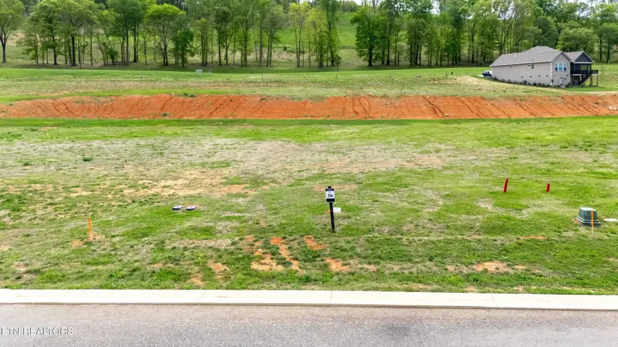 696 Black Bear Circle, Loudon, TN 37774 - #3