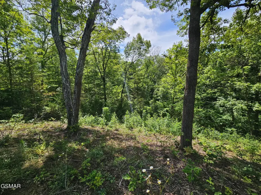 67910 Pleasure Road, Sevierville, TN 37876 - #3