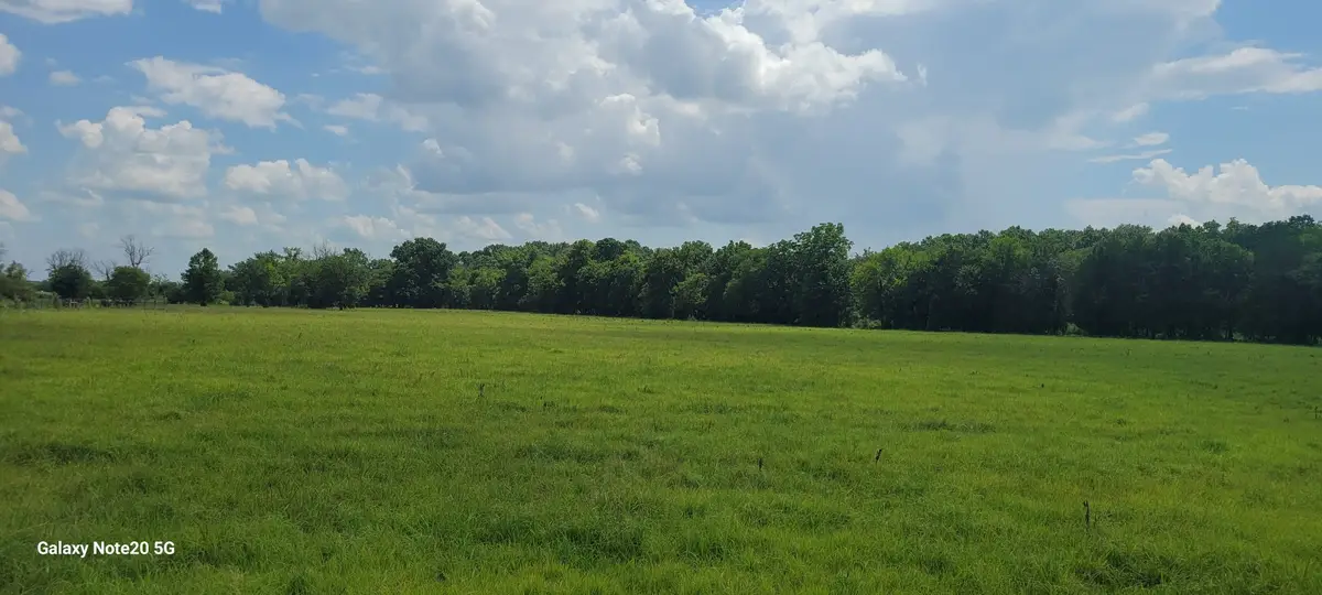 11 Beasley Rd, Chapel Hill, TN 37034 - #1