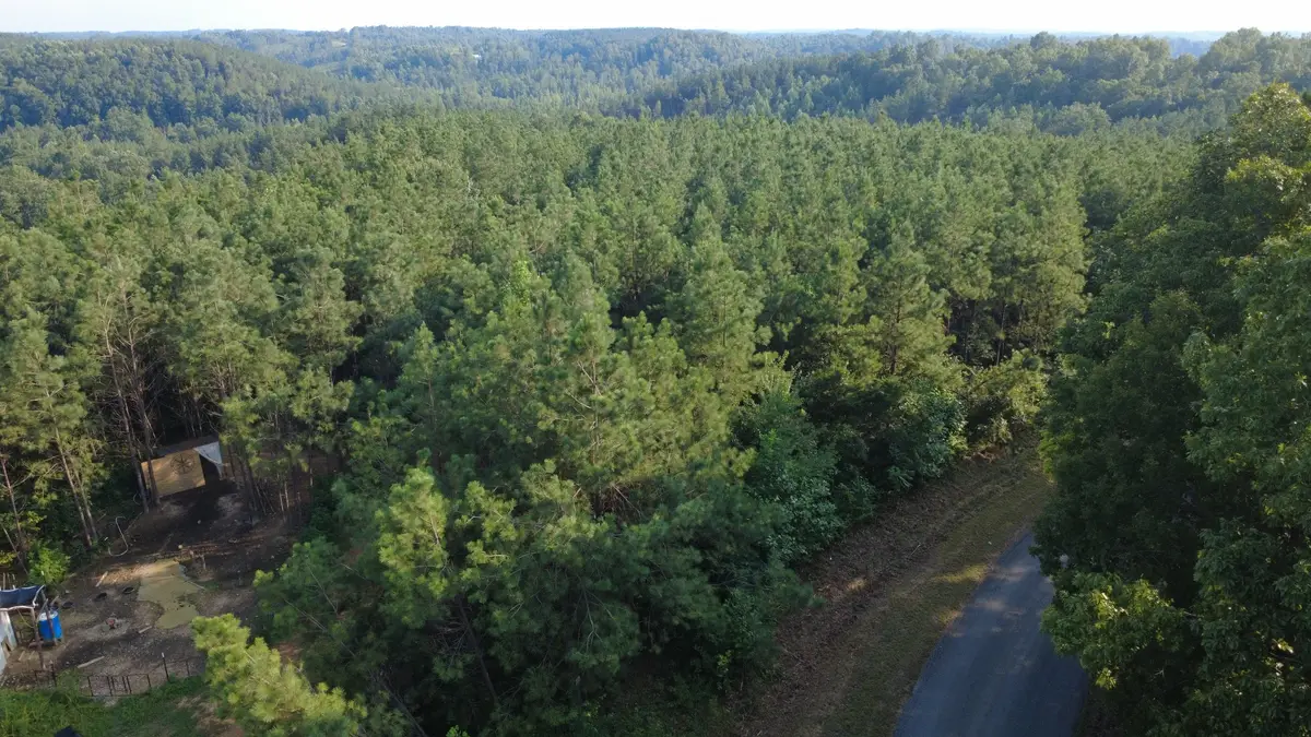 0 Rockhouse Rd, Linden, TN 37096 - #1