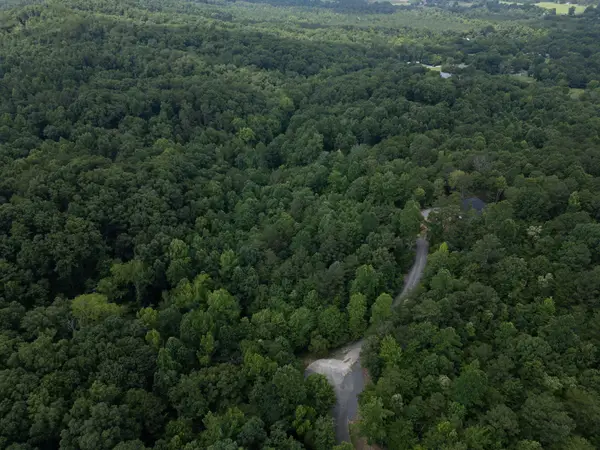 0 Dogwood Hollow Drive, Old Fort, TN 37362