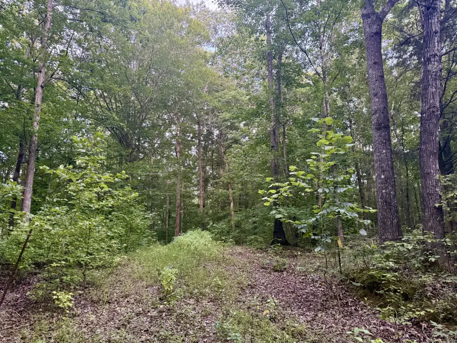 0 Hurricane Creek Road, Stewart, TN 37175 - #2