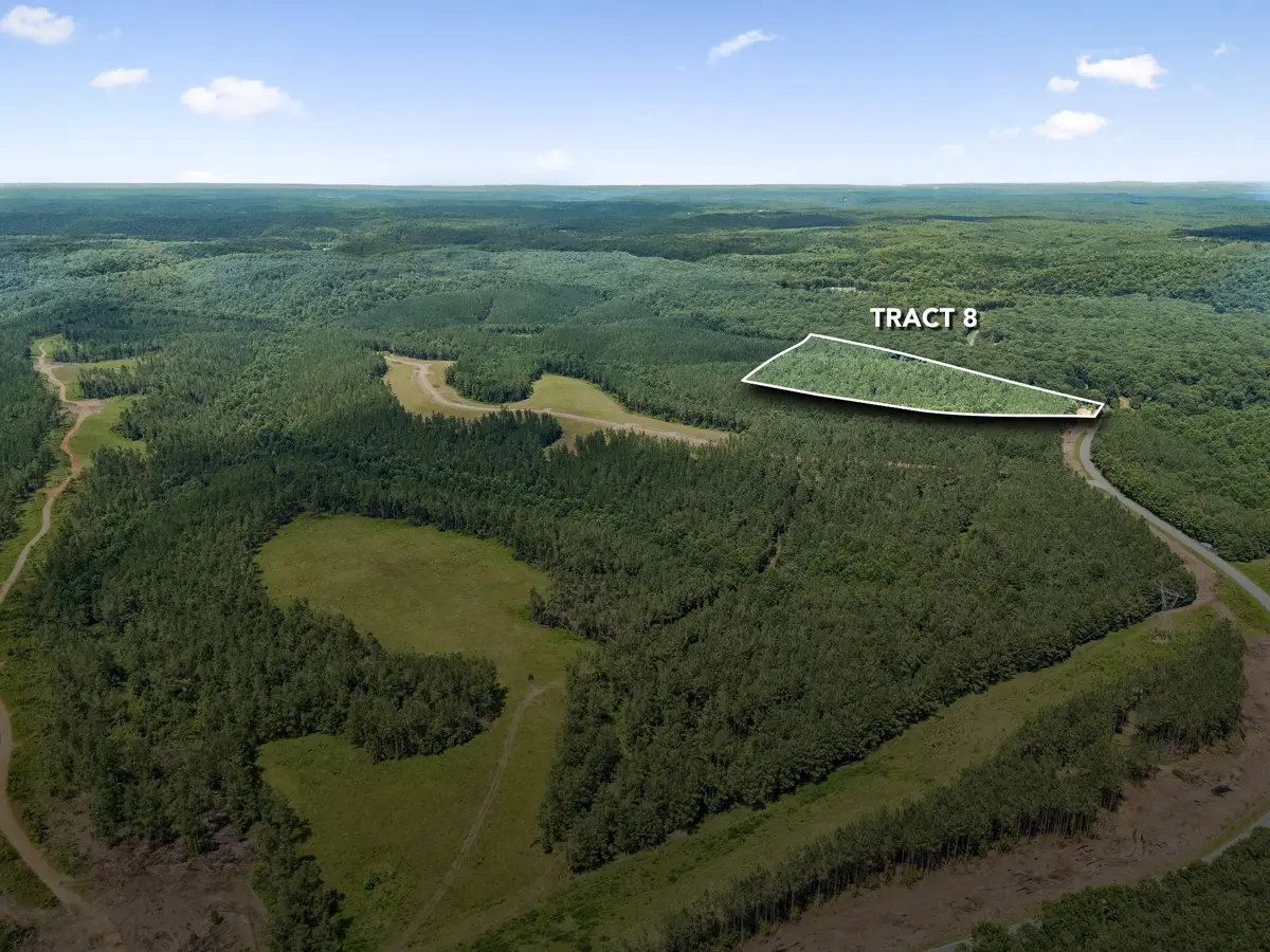 1420 Big Swan Creek Rd Tract 8, Summertown, TN 38483 - #1