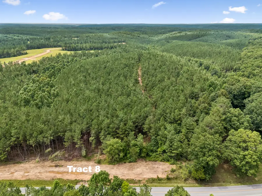 1420 Big Swan Creek Rd Tract 8, Summertown, TN 38483 - #2