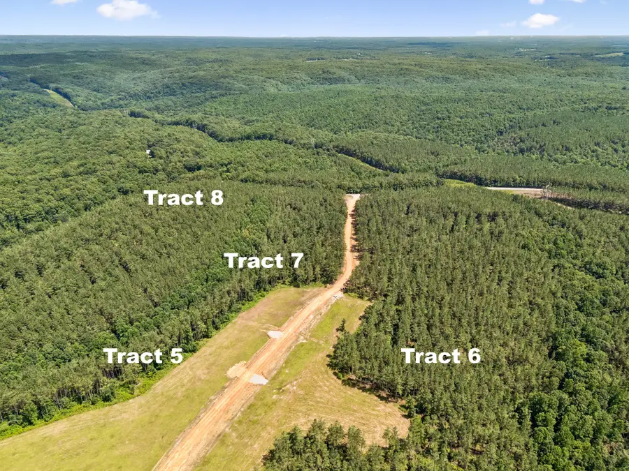 1420 Big Swan Creek Rd Tract 8, Summertown, TN 38483 - #3