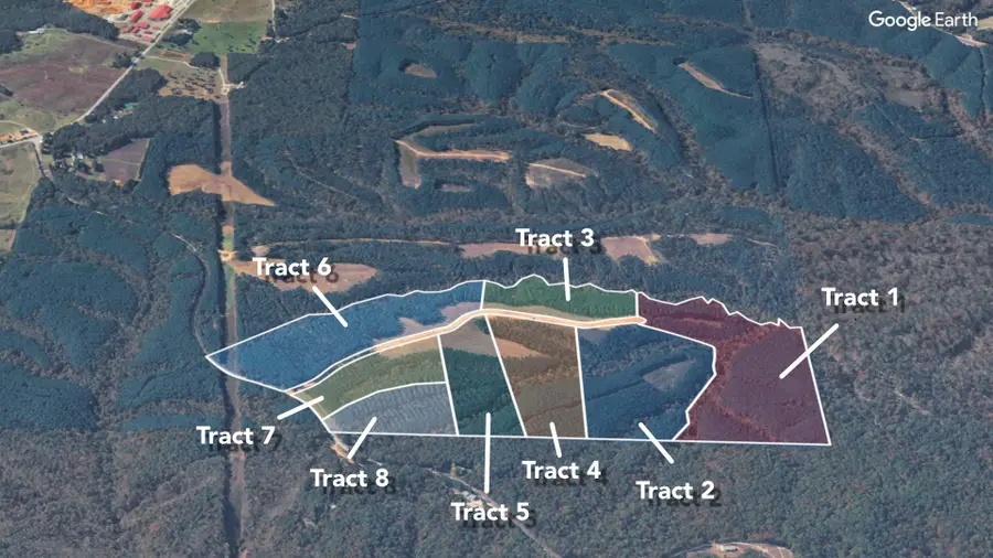 1420 Big Swan Creek Rd Tract 1, Summertown, TN 38483 - #3
