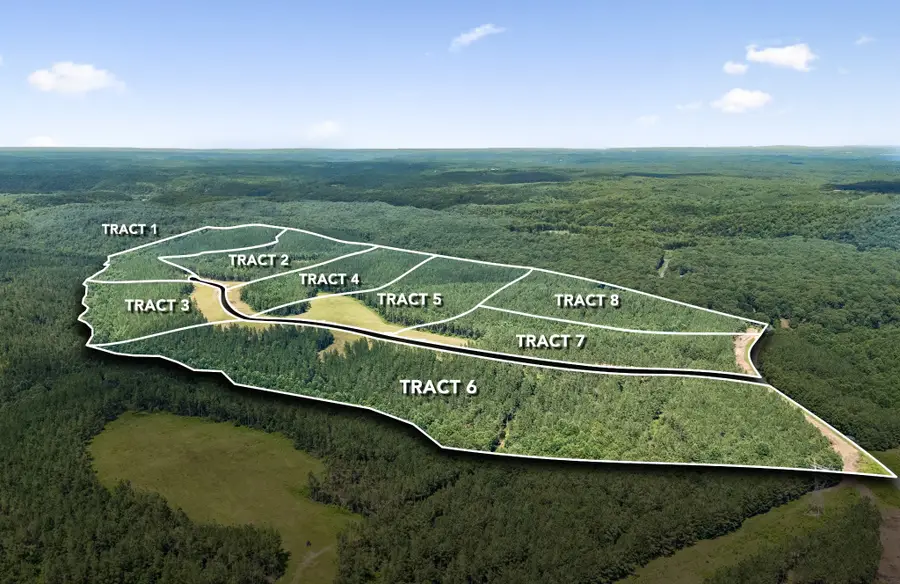 1420 Big Swan Creek Rd Tract 3, Summertown, TN 38483 - #3