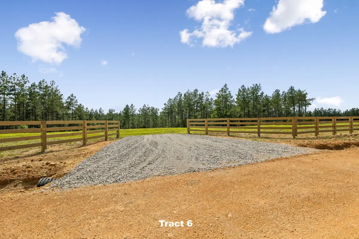 1420 Big Swan Creek Rd Tract 6, Summertown, TN 38483 - #1