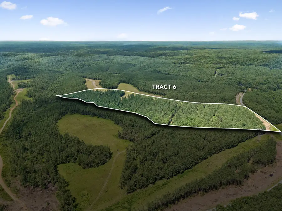 1420 Big Swan Creek Rd Tract 6, Summertown, TN 38483 - #2