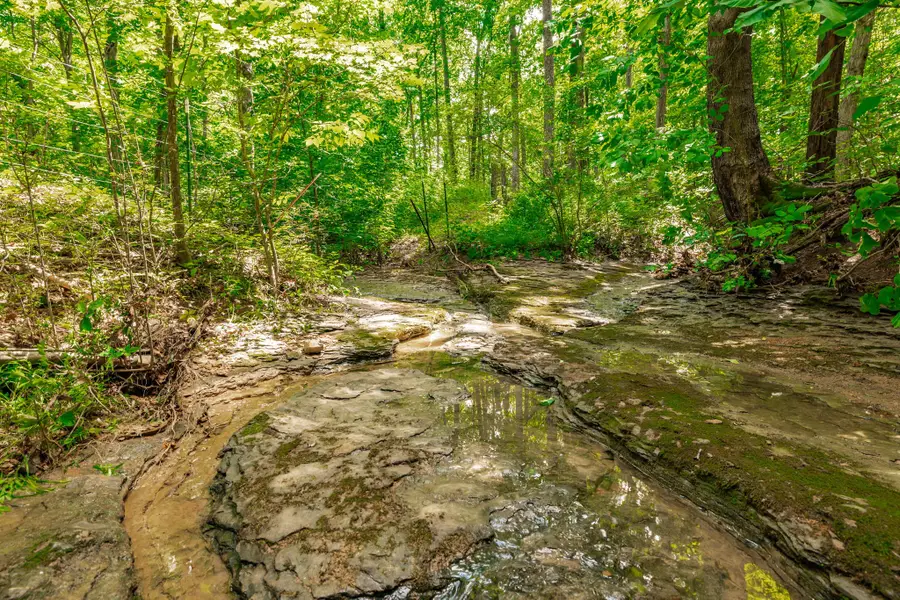 0 New Hall Rd, Greenbrier, TN 37073 - #3
