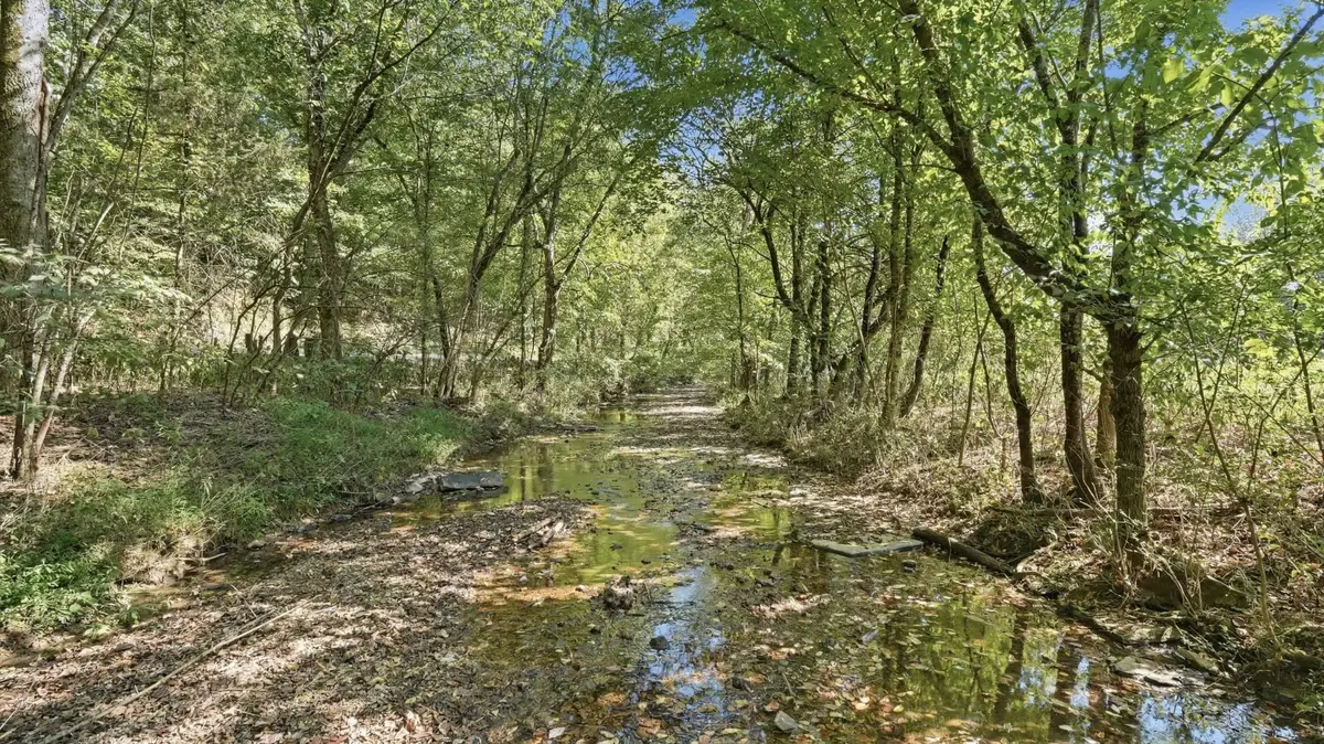0 Opossum Paw Road, Beechgrove, TN 37018 - #1
