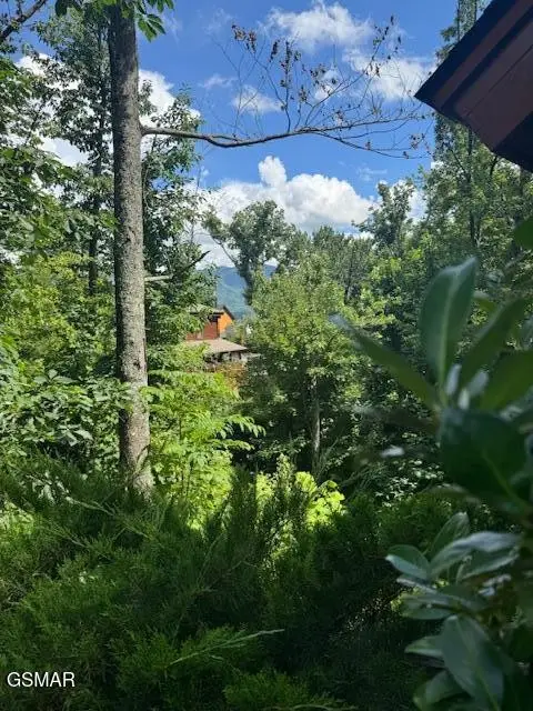 917 Pine Cone Way, Gatlinburg, TN 37738 - #3