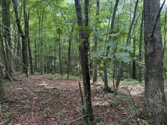 3 S Pittsburg Mountain Road, South Pittsburg, TN 37380 - #2
