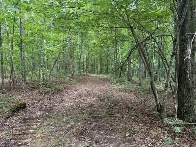 3 S Pittsburg Mountain Road, South Pittsburg, TN 37380 - #3