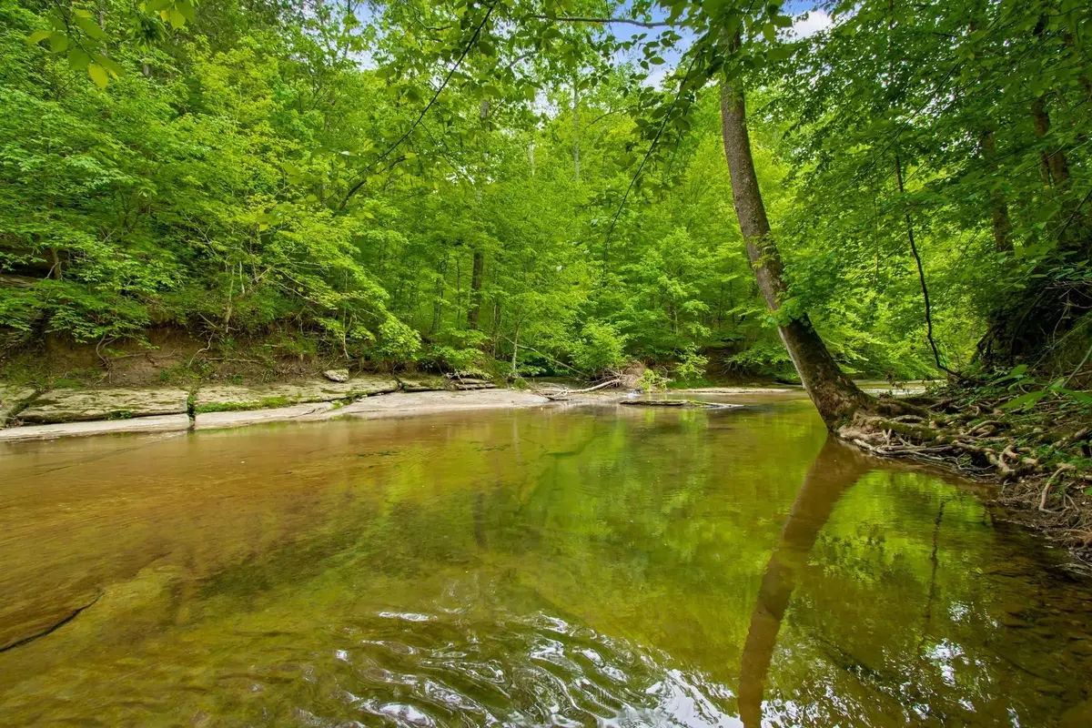 0 Crow Cut Rd, Fairview, TN 37062 - #1