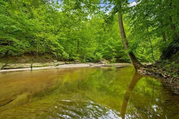 0 Crow Cut Rd, Fairview, TN 37062