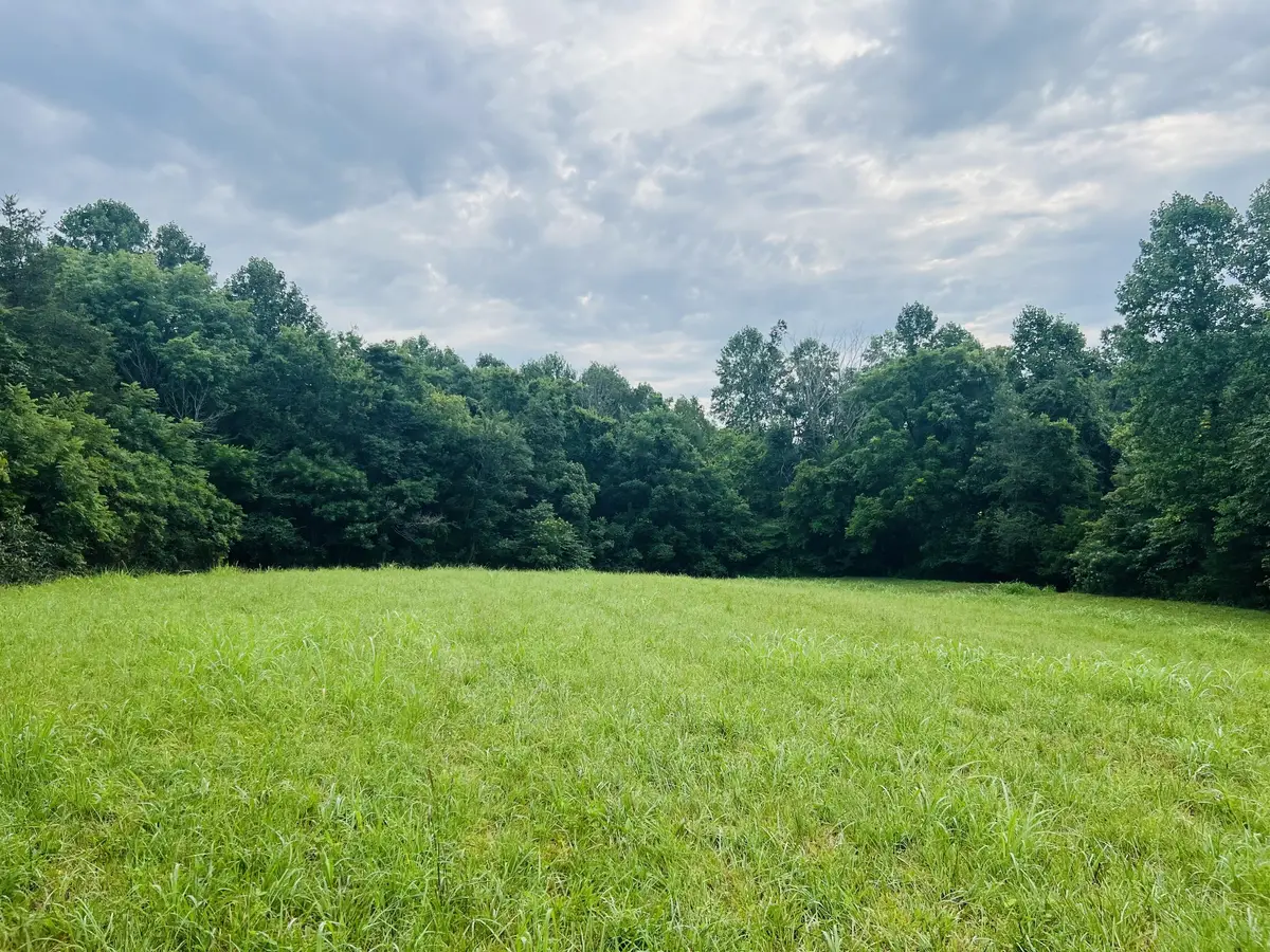 0 Pleasant Grove Road, Westmoreland, TN 37186 - #1