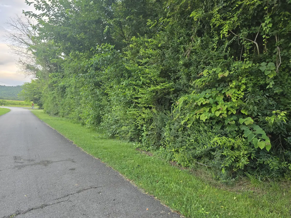 1240 Old Beersheba Rd, McMinnville, TN 37110 - #1