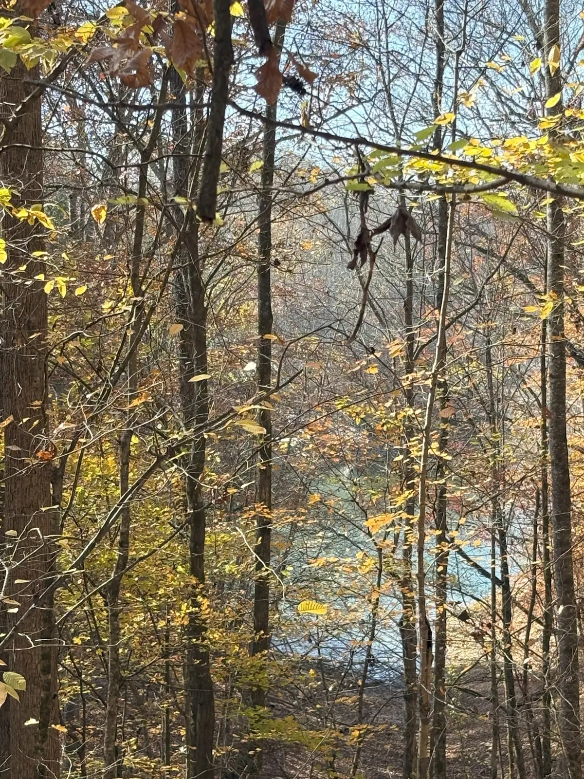 0 Old Tullahoma Rd, Estill Springs, TN 37330 - #1