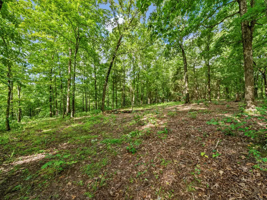 0 Old Highway 13, Cumberland City, TN 37050 - #2
